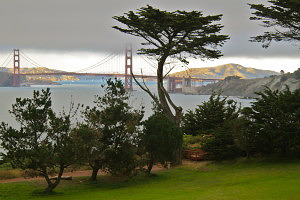 Bay Area Wedding Venues Beaches Chapels Gardens My Sf Wedding