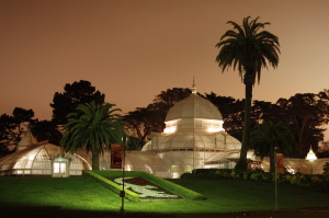 Conservatory, sf, night