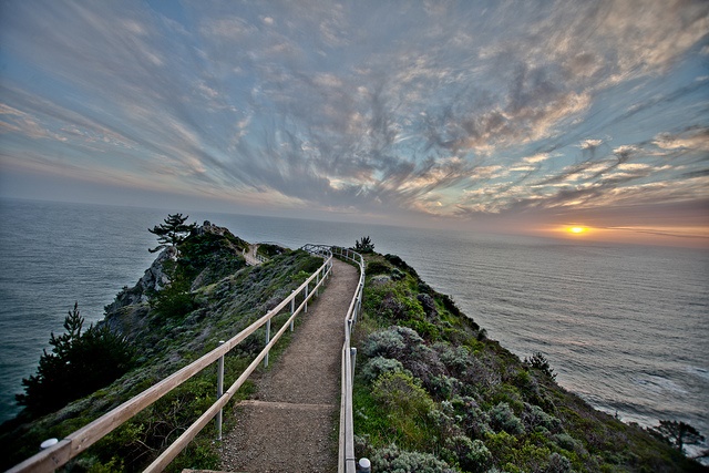 Muir Woods And Beach Wedding Venues