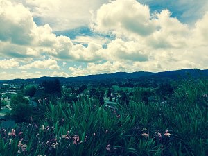 Hilltop, Novato, CA