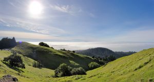 Mt. Tamalpais,Marin Headlands,wedding,venues